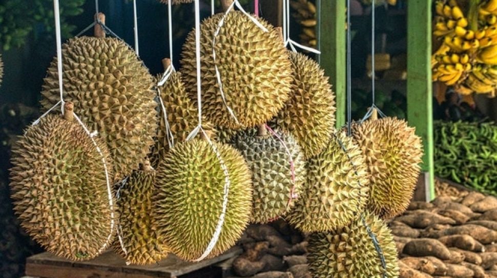 Buah Durian : Berbagai Olahan Kuliner Dari Durian